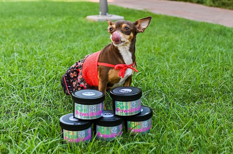 Pure Pawsitivity™️ photo 2