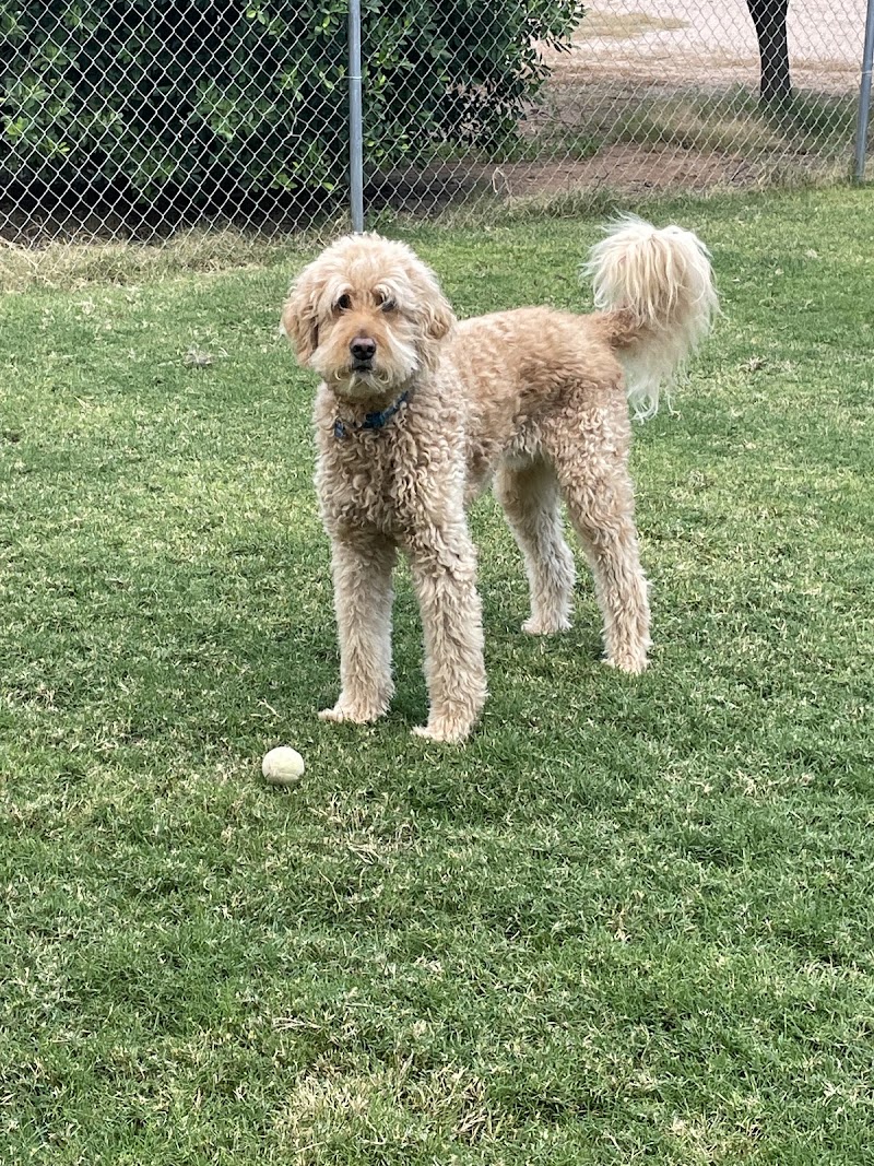 H & H Pet Services LLC photo 4