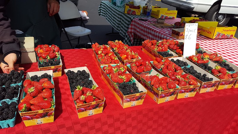 Castro Valley Farmers' Market photo 5