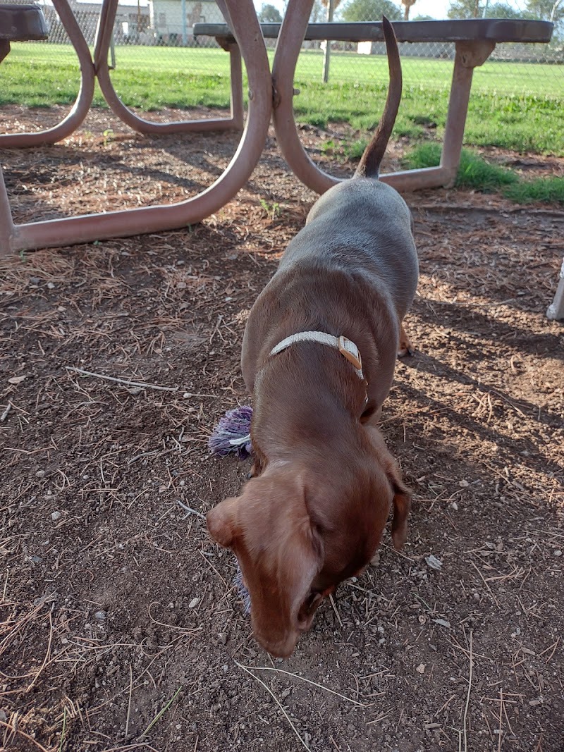 Florence Dog Park photo 5