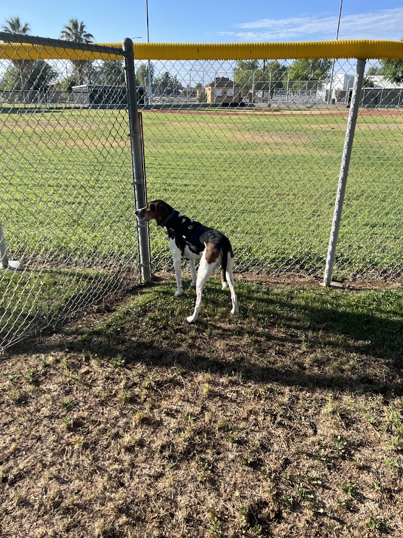 Photo of Florence Dog Park