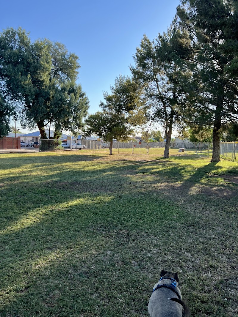 Florence Dog Park photo 2
