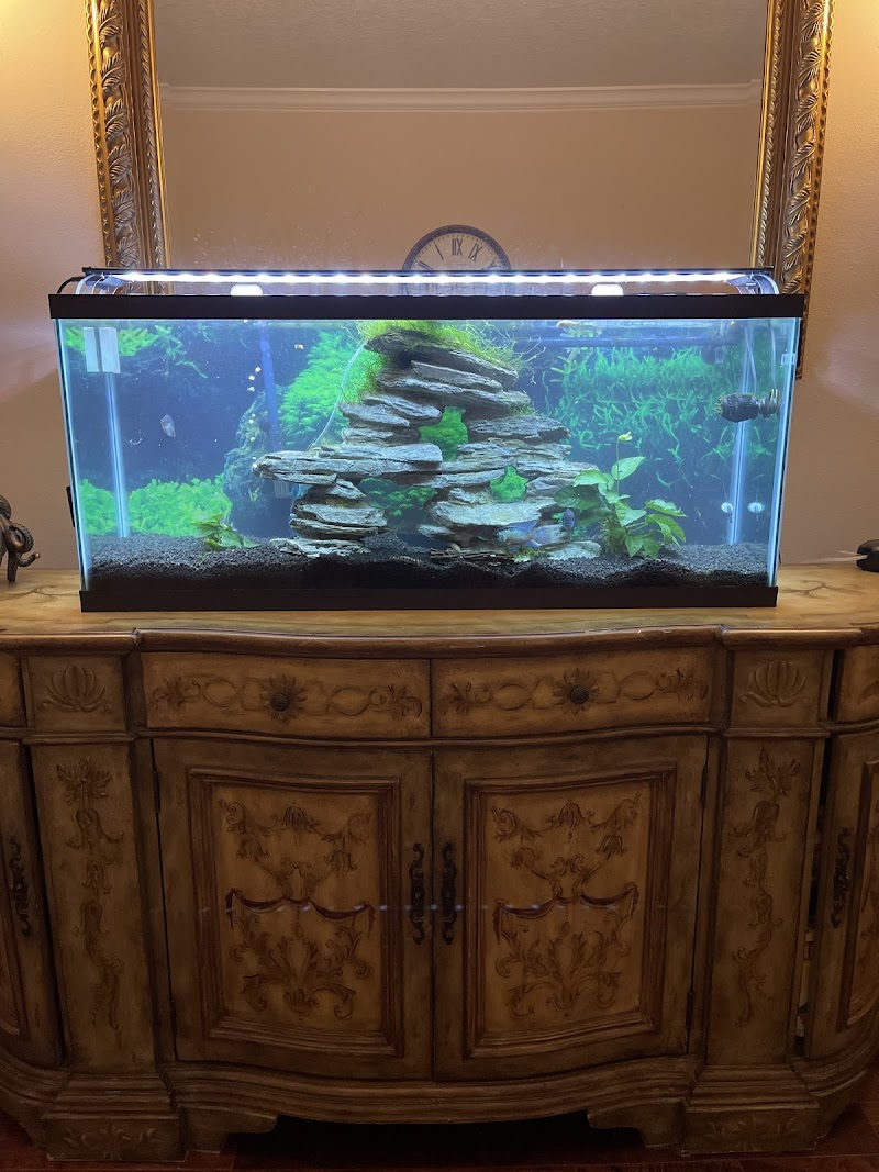 Elite Aquatic Concepts LLC photo 3