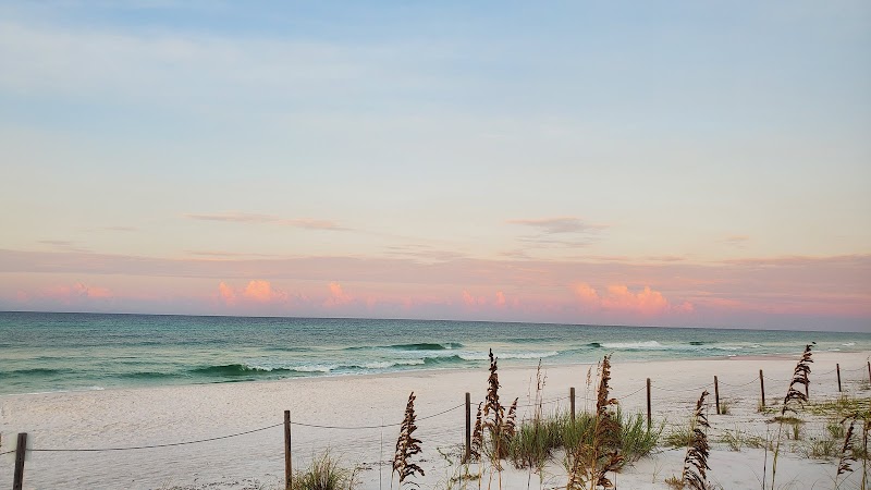 Grayton Beach State Park photo 5