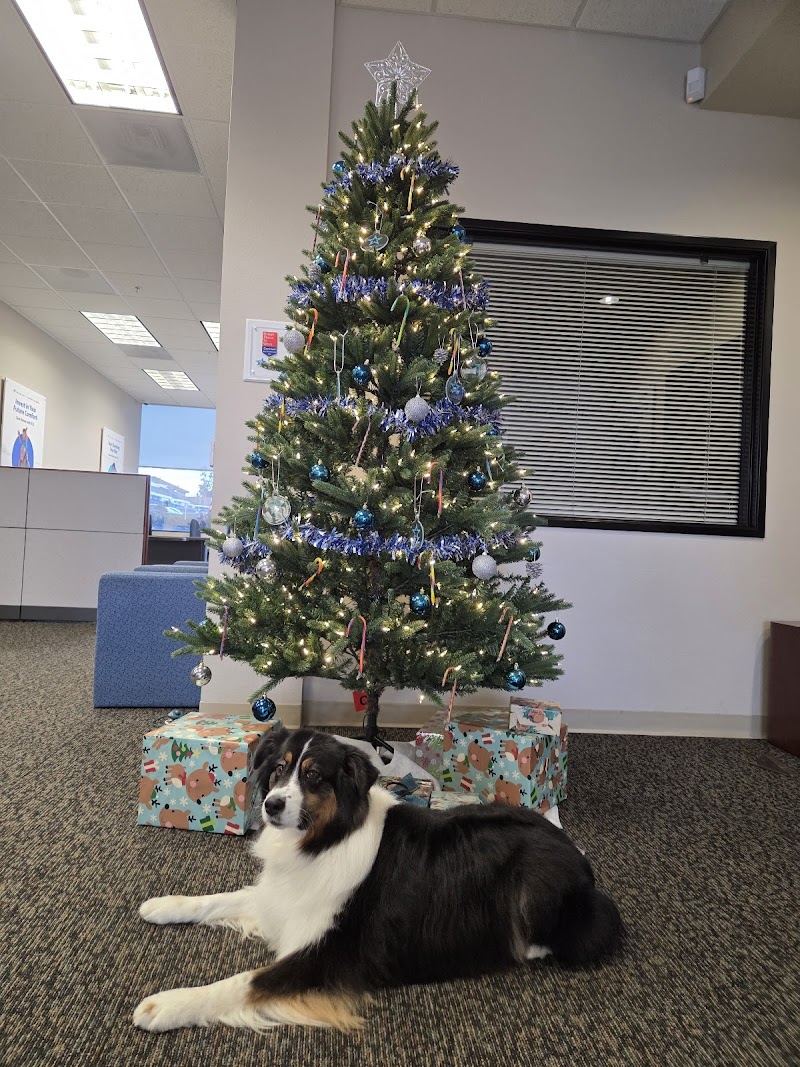 Travis Credit Union photo 2