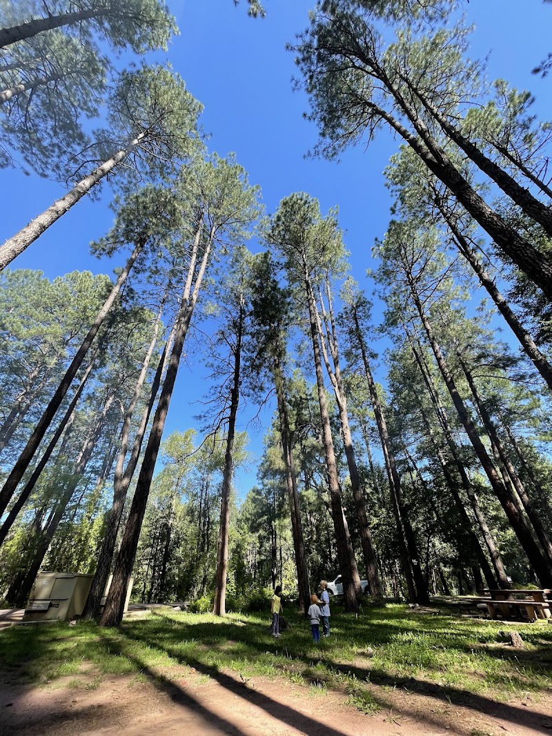 Christopher Creek Campground photo 4