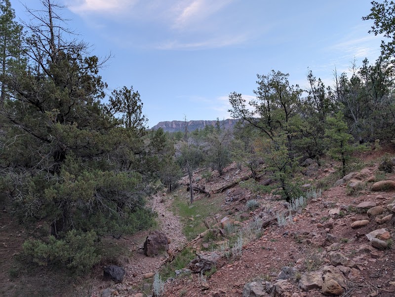 Christopher Creek Campground photo 5