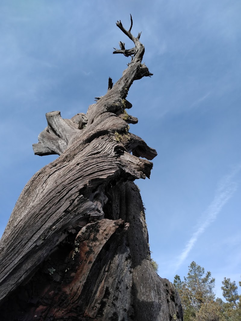 Photo of Christopher Creek Campground