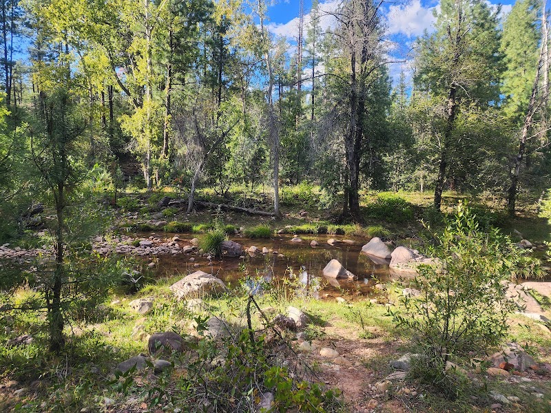 Christopher Creek Campground photo 3