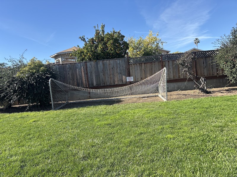 Dominus Soccer Club photo 2