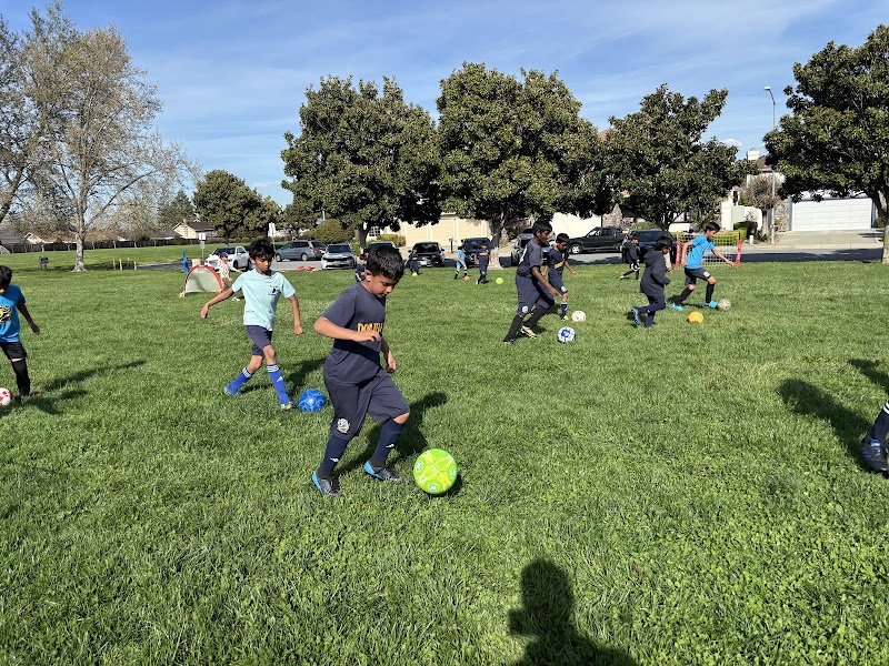 Dominus Soccer Club photo 3
