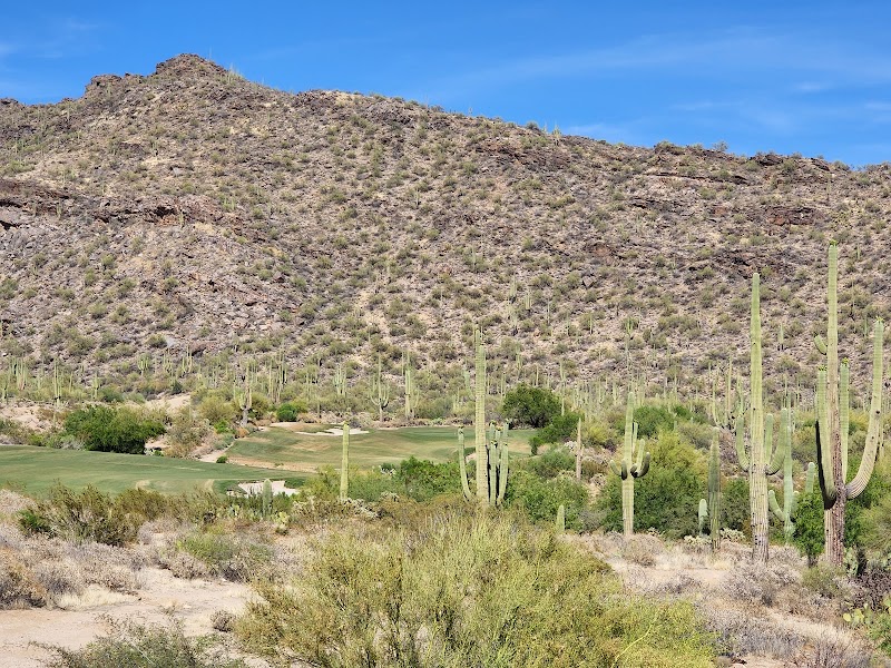 The Golf Club at Dove Mountain photo 5
