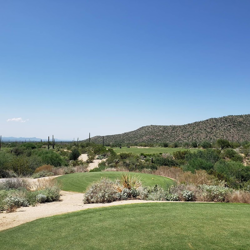The Golf Club at Dove Mountain photo 2
