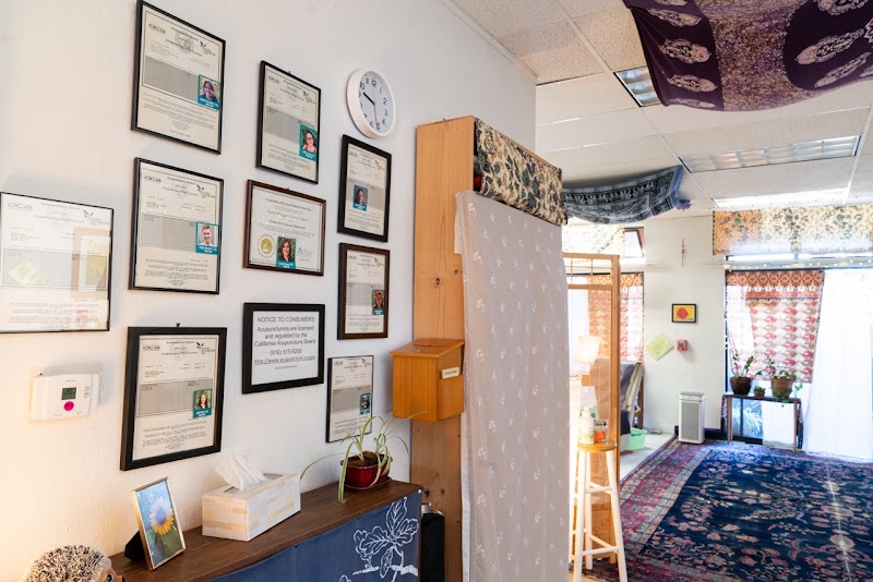 Sarana Community Acupuncture photo 4