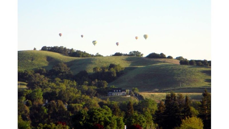 Photo of Ultimate Wine Tours