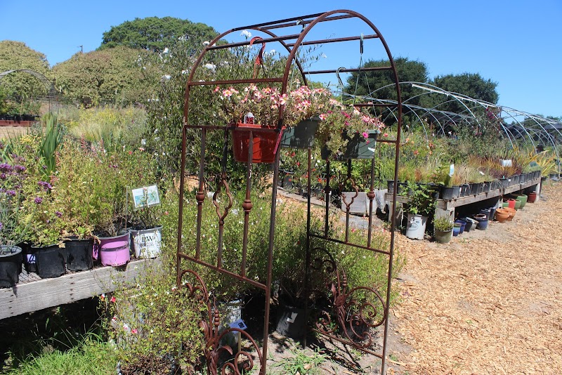 Photo of Hidden Garden Nursery, Petaluma