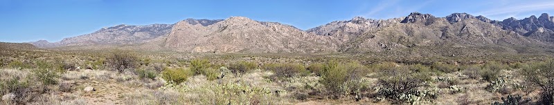 Fleet Feet Tucson photo 2
