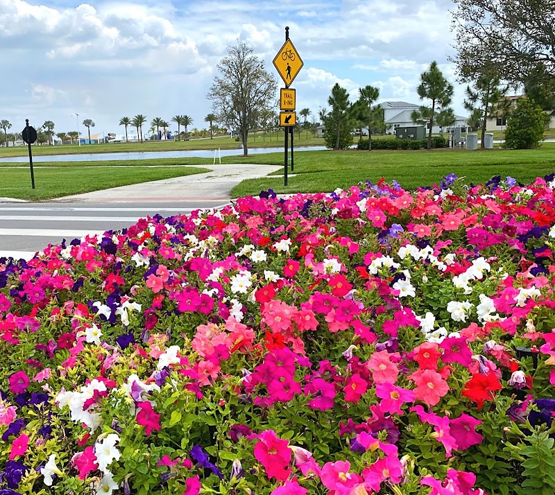 Landscape Maintenance Professionals, Inc. photo 5