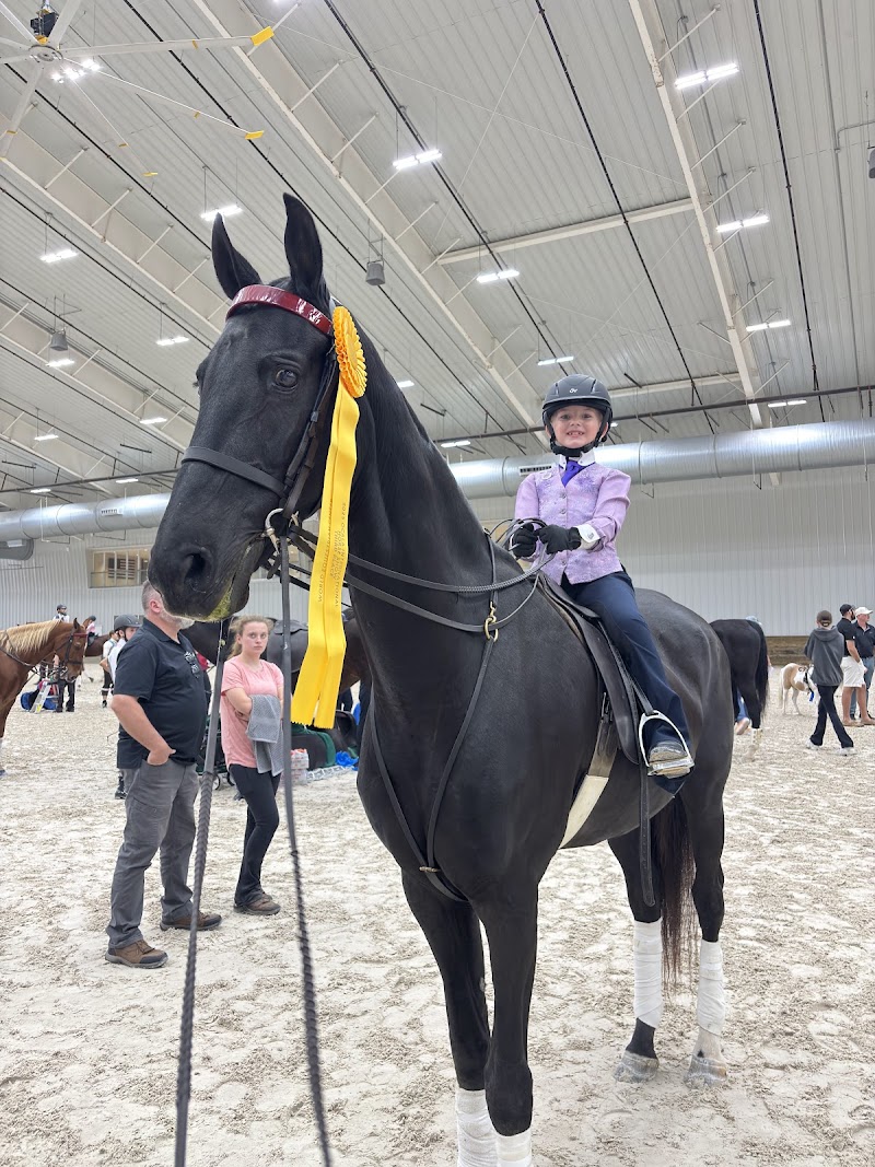 Suncoast Stables & Riding Academy photo 2