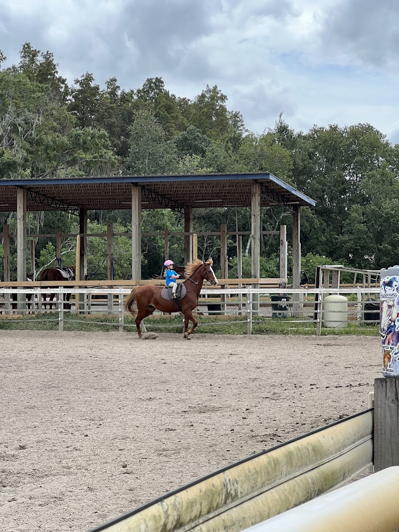 Suncoast Stables & Riding Academy photo 4