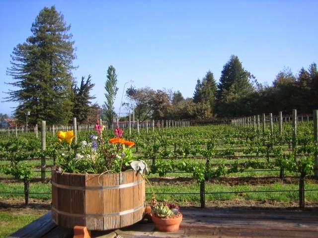 Pearlessence Vineyard Inn photo 2