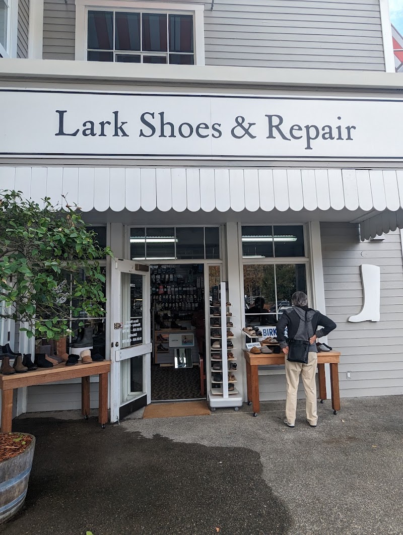 Photo of Lark Shoes