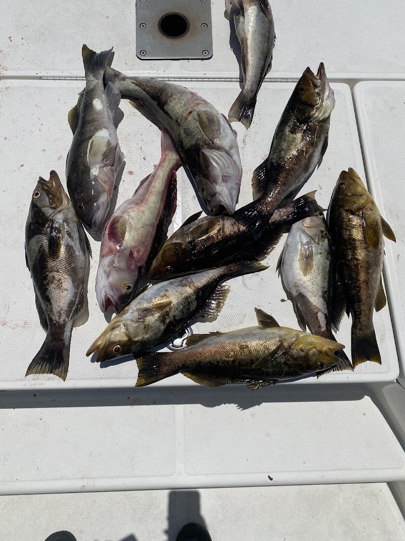 Breakwall Fishing Charters photo 4