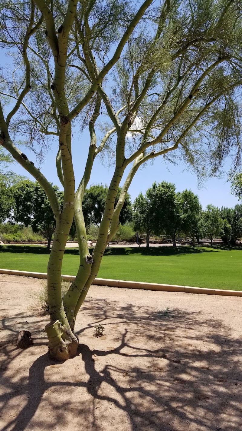 Dove Mountain Park photo 5
