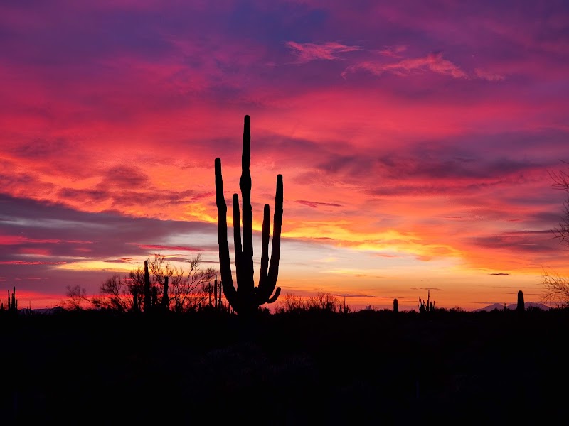 Photo of Dove Mountain Park