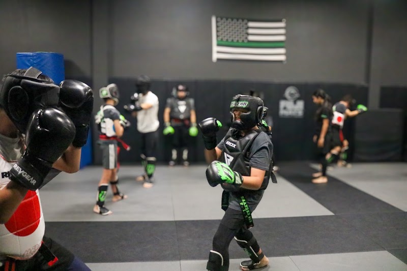 Fearless Martial Arts Academy photo 2