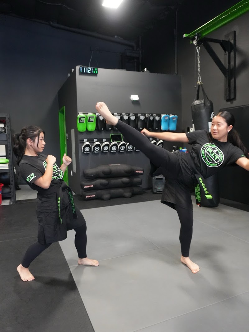 Fearless Martial Arts Academy photo 5