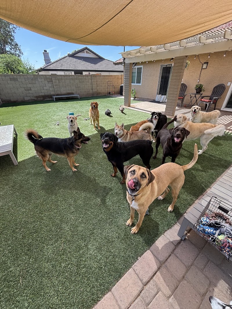 Rycroft's Ruff House photo 2
