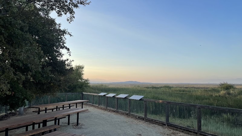 Photo of Picnic area