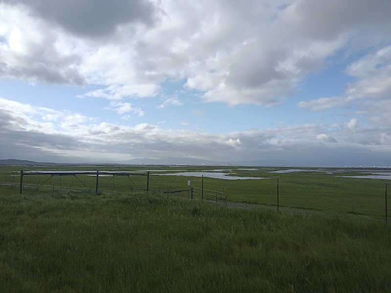 Picnic area photo 4
