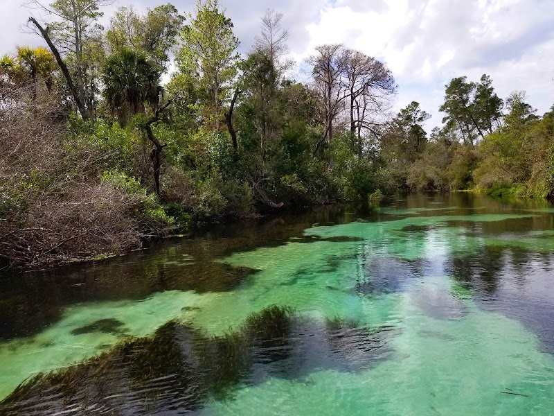 Weeki Wachee Springs State Park photo 2