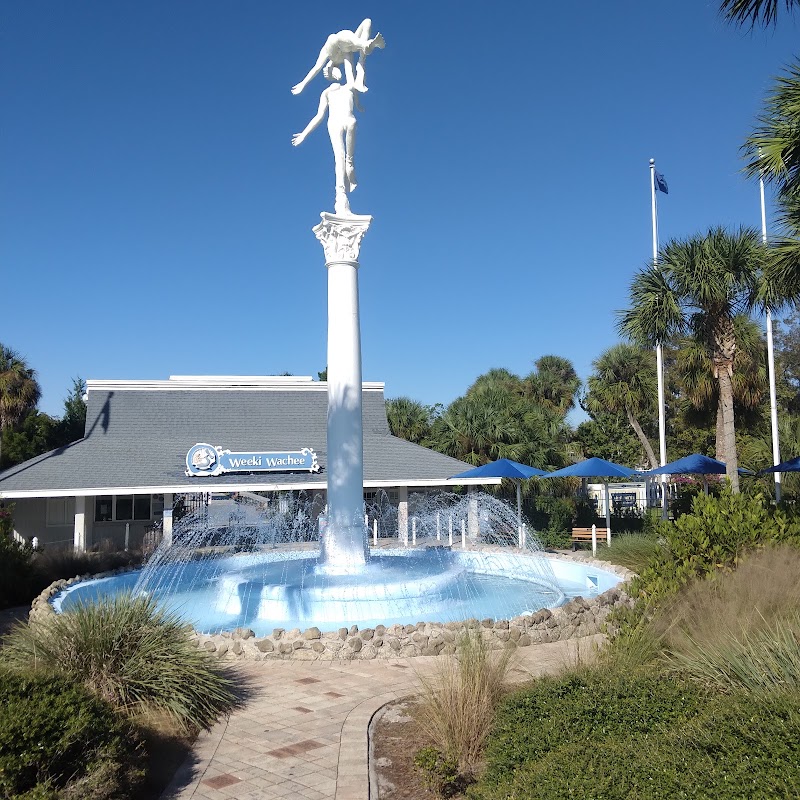 Weeki Wachee Springs State Park photo 4