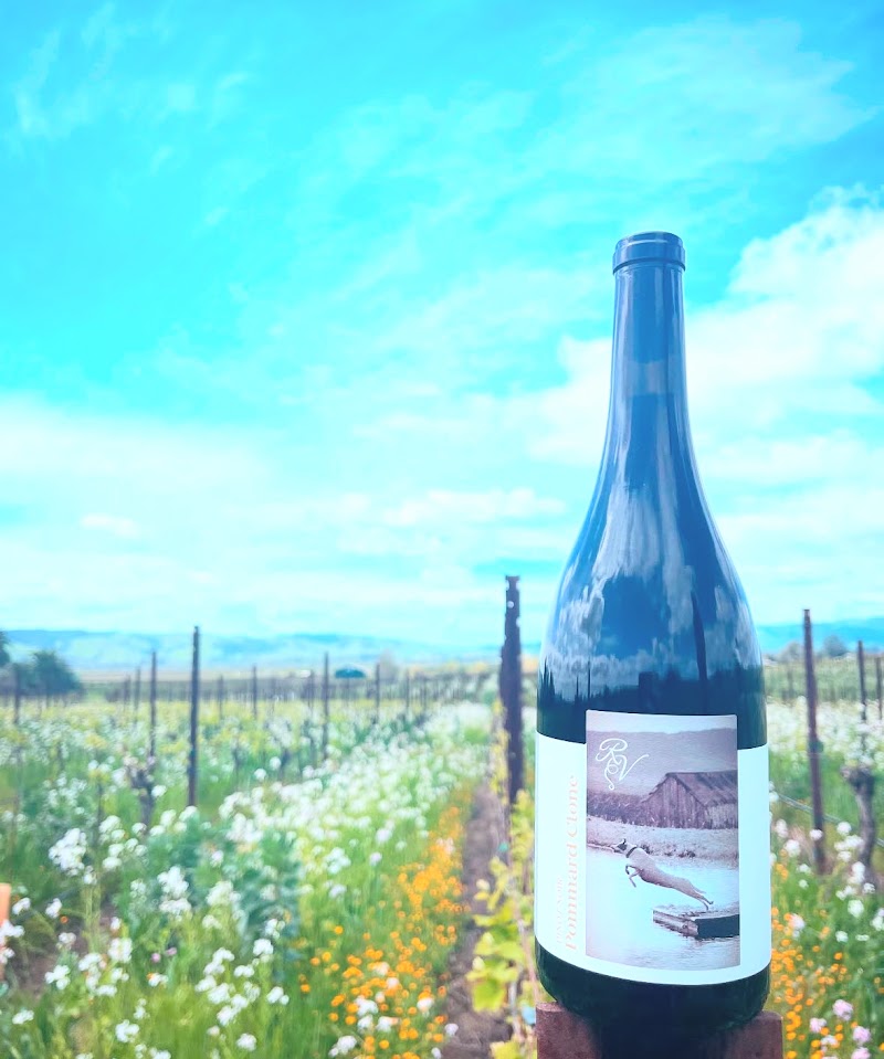 Ricci Vineyards | Carneros photo 2