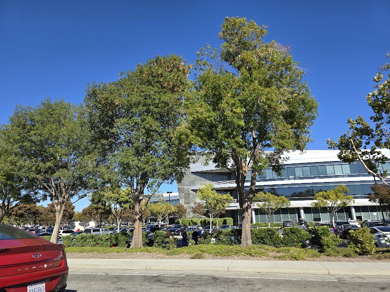 NVIDIA Building A photo 5