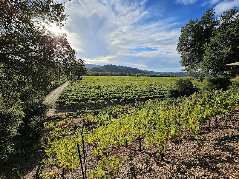 Wilson Winery photo 2