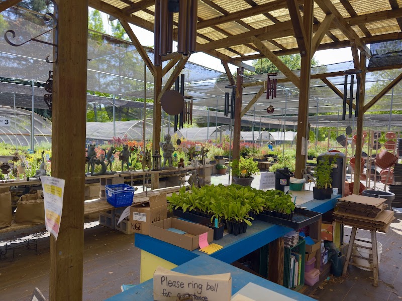 Morningsun Herb Farm photo 4