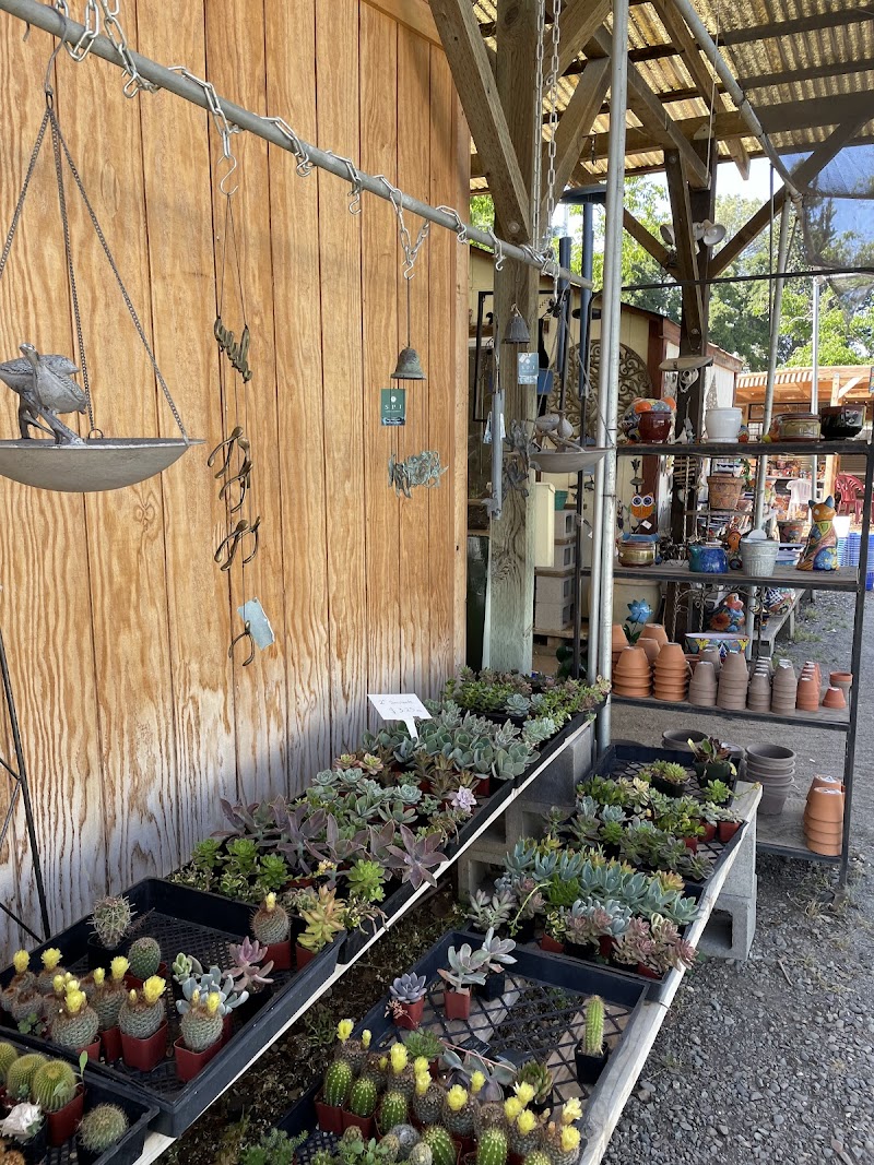 Morningsun Herb Farm photo 5