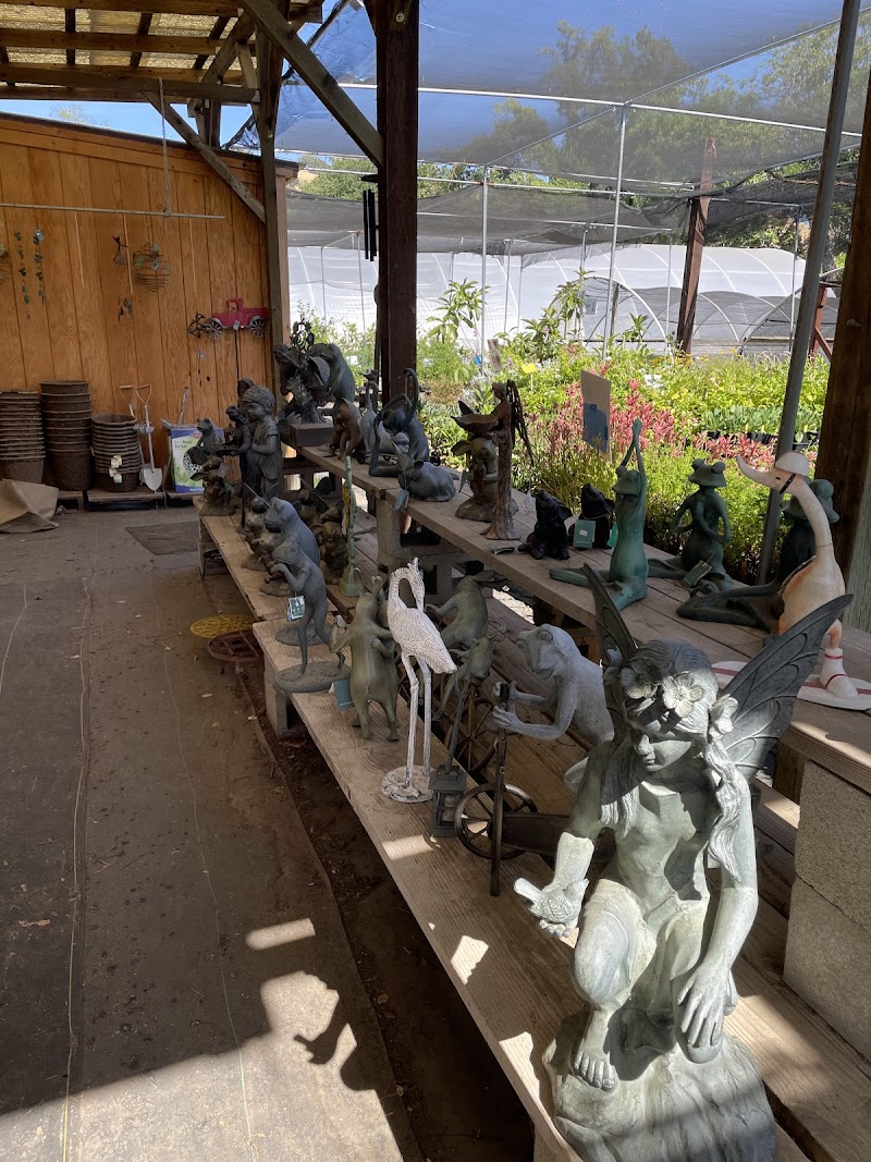 Morningsun Herb Farm photo 3