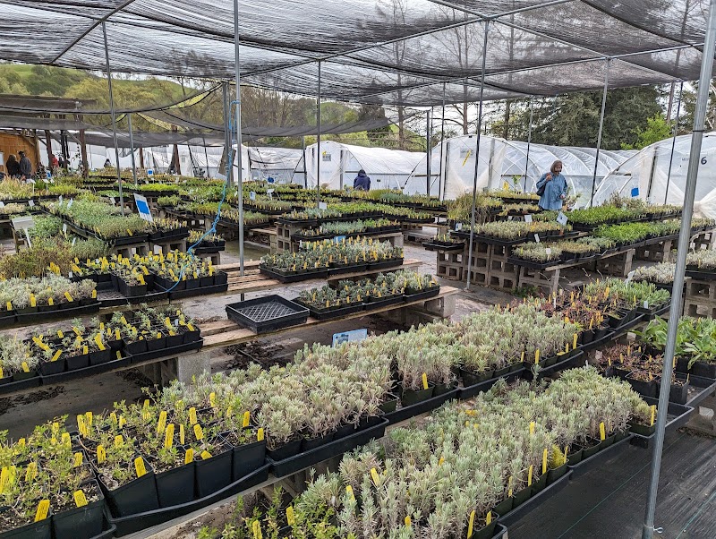 Morningsun Herb Farm photo 2