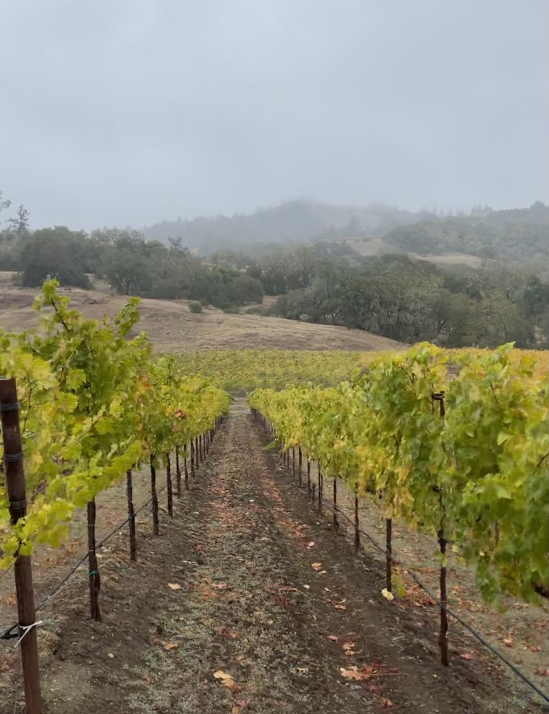 Summer Bridge Vineyards photo 5