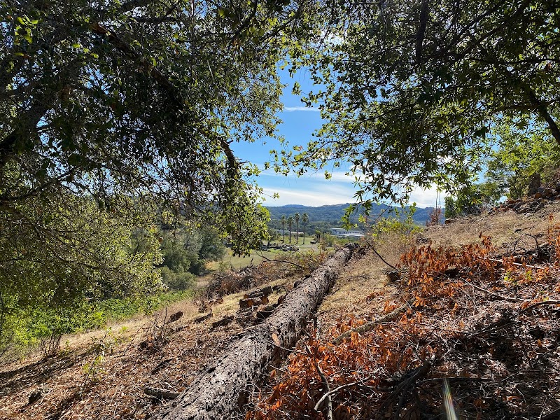 Summer Bridge Vineyards photo 4