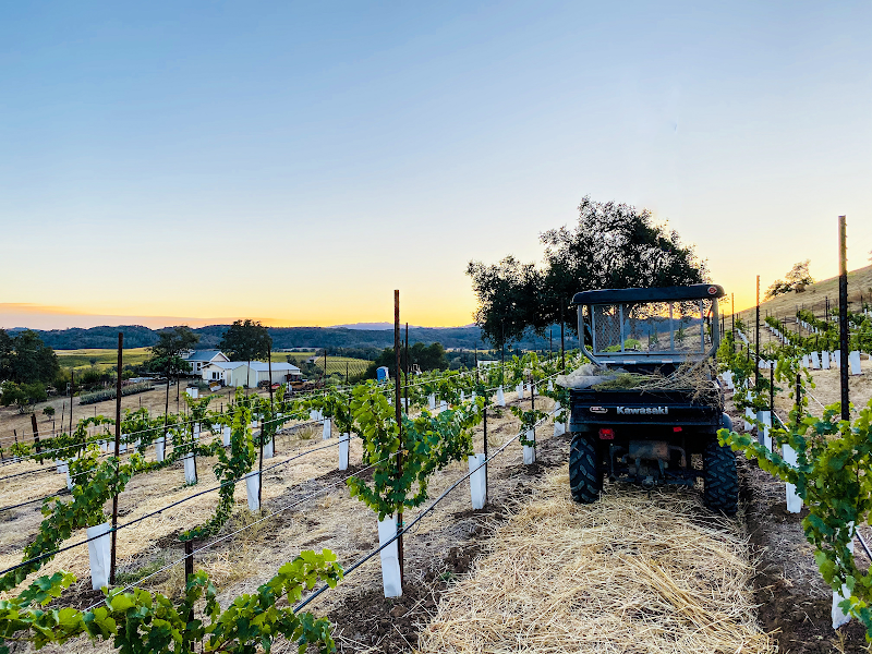 Summer Bridge Vineyards photo 2