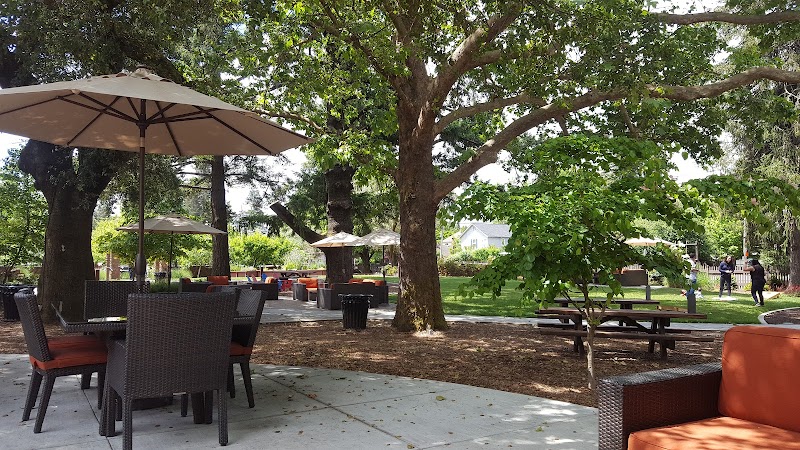 Seghesio Family Vineyards photo 5