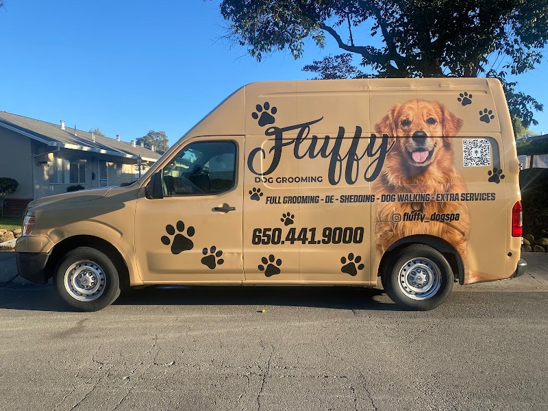 Photo of Fluffy Dog Grooming