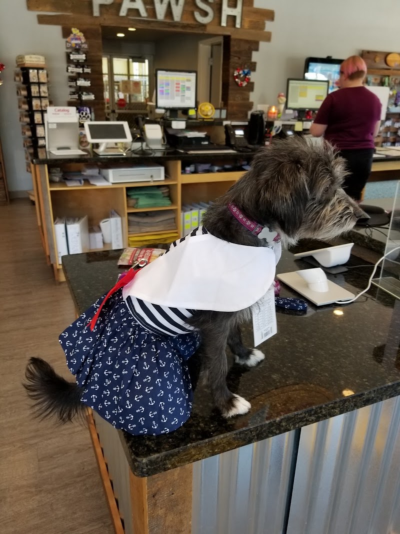 Pawsh Place | Veterinary Center & Boutique photo 3