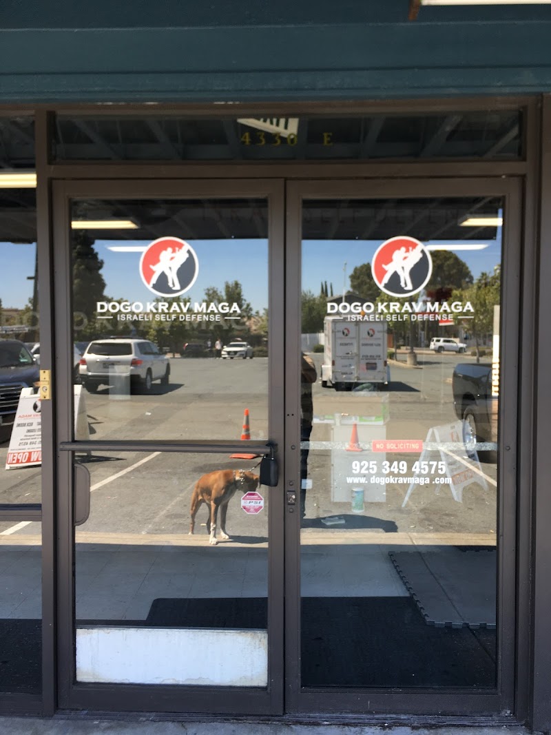 Dogo Defense Academy photo 4